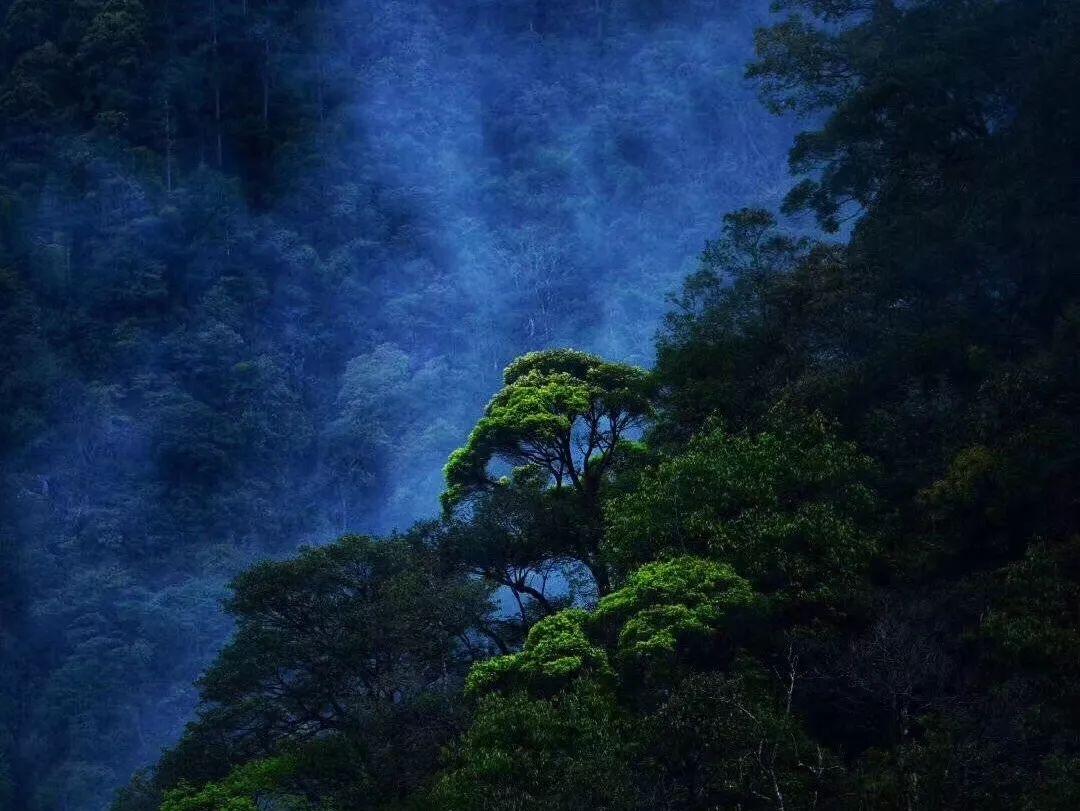 怎么挑选花蛤?-机智问答,智能解答您的疑问!